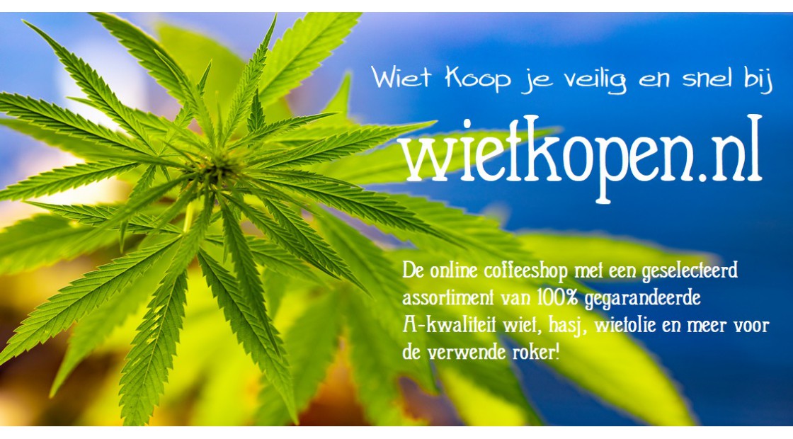 Wietplantjes kopen online