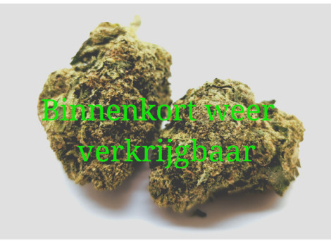 Blue CookiesWiet kopen onlineWiet