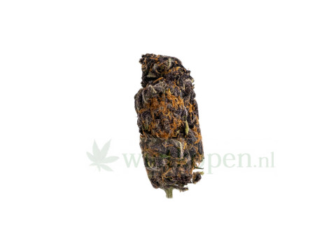 4-GWiet kopen online
