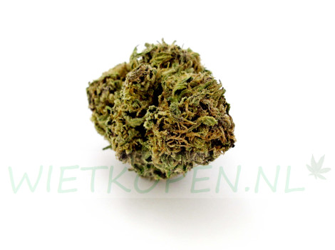 AK-47 Outdoor