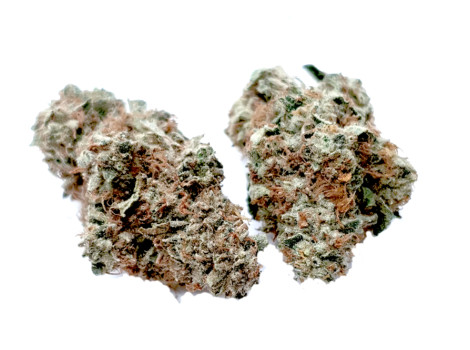 Alien Cookies