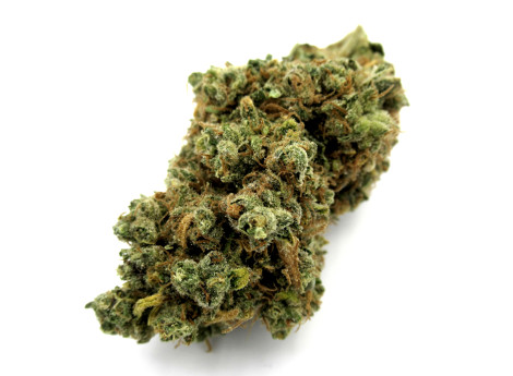 alien kush wiet bestellen