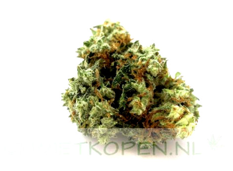 Bubba Kush wiet kopen online