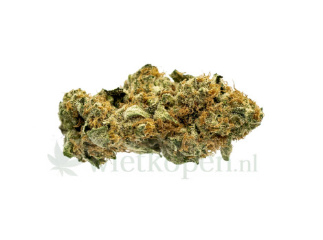 Gelato