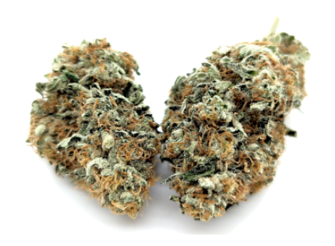 Girl Scout Cookies wiet kopen online