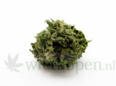 Hindu Kush
