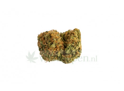 Khalifa Kush wiet kopen online