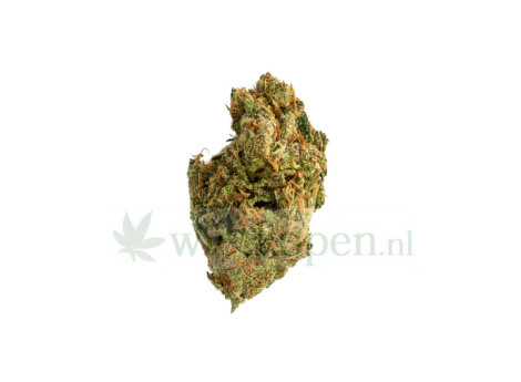 Pineapple Haze