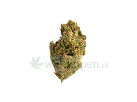Pineapple Haze Pineapple Haze
