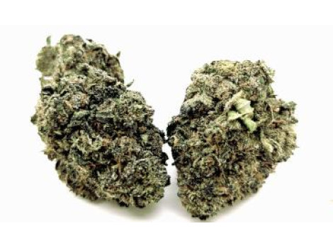 Blue Dragon Blue Dragon