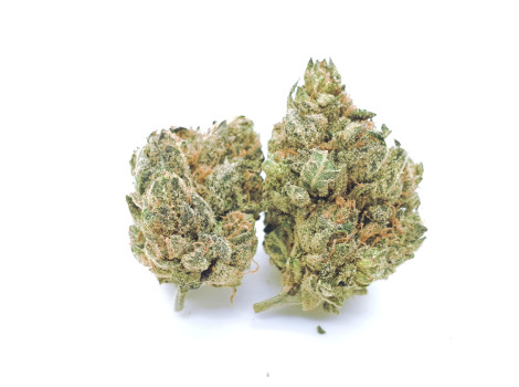 White Fire OG White Fire OG